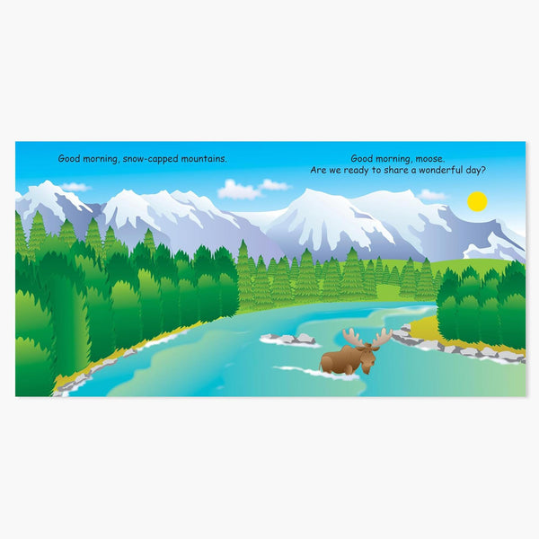 Good Night Idaho Book