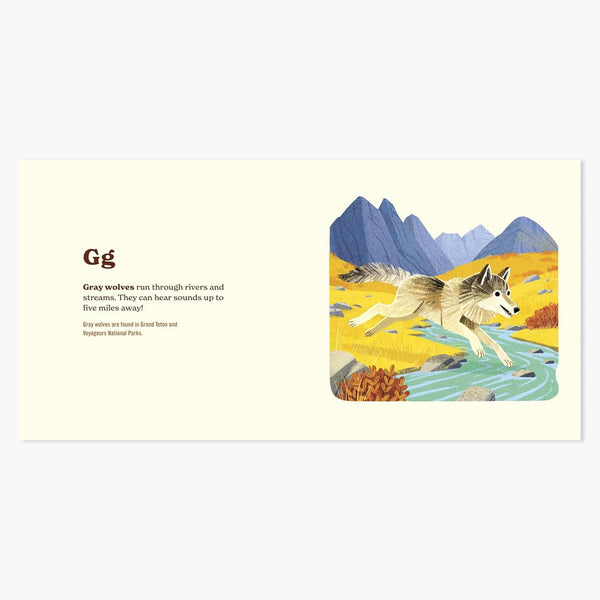 Animals of the National Parks Book