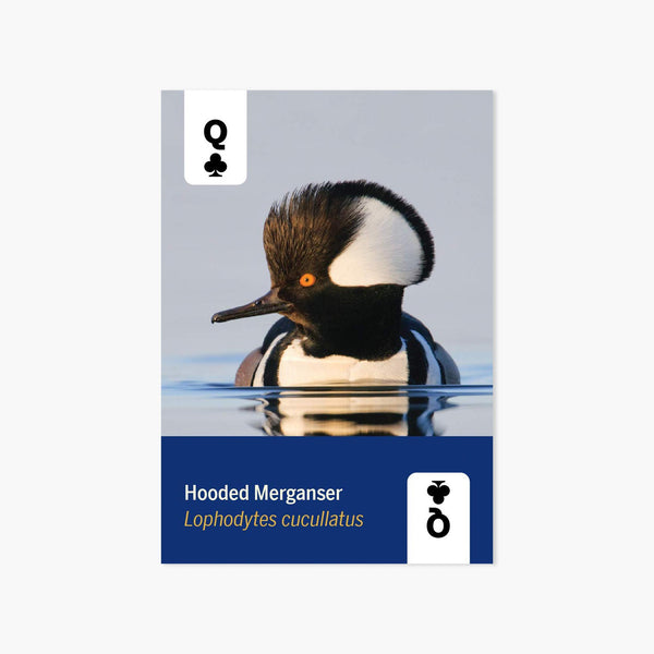 Birds of North America Playing Cards