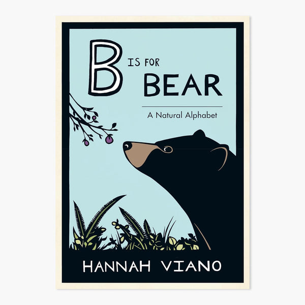 B is for Bear Book