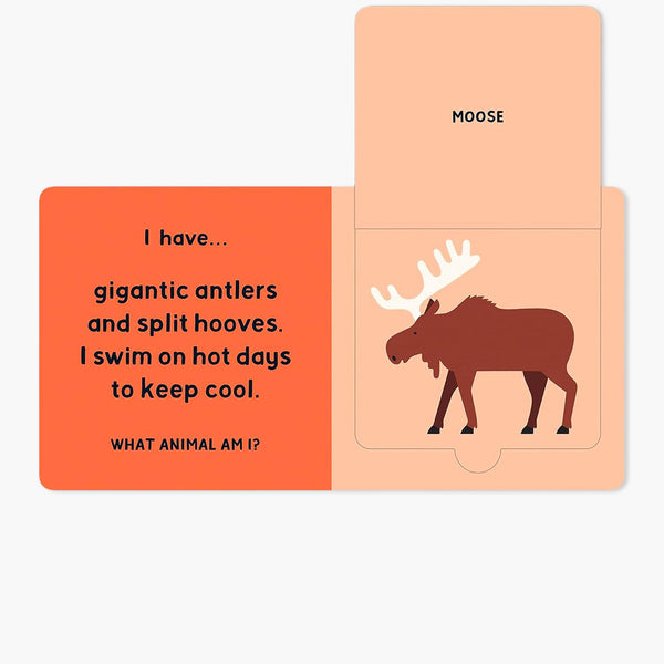 Forest Tracks: What Animal Am I? Book