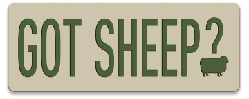 Got Sheep? Magnet