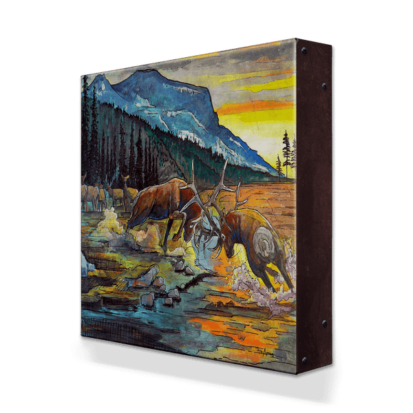 Bull Fight: Metal Box Art