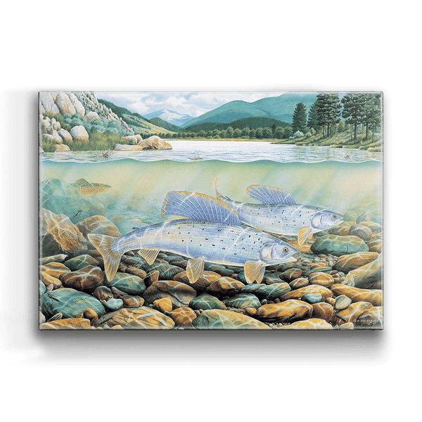 Montana Grayling - Metal Box Art