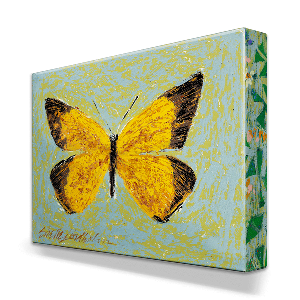Orange Sulpher Butterfly - Metal Box Art