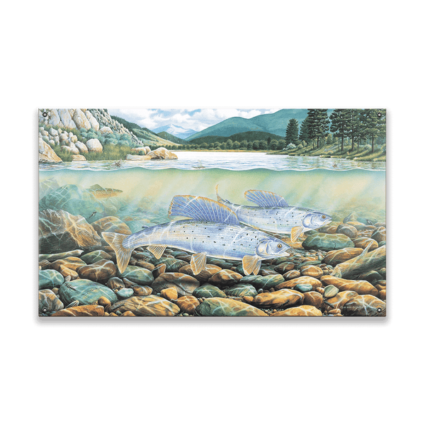 Montana Grayling - Wood & Metal Wall Art