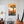 Sunset at Joshua Tree: Smooth Finish - Wood & Metal Wall Art