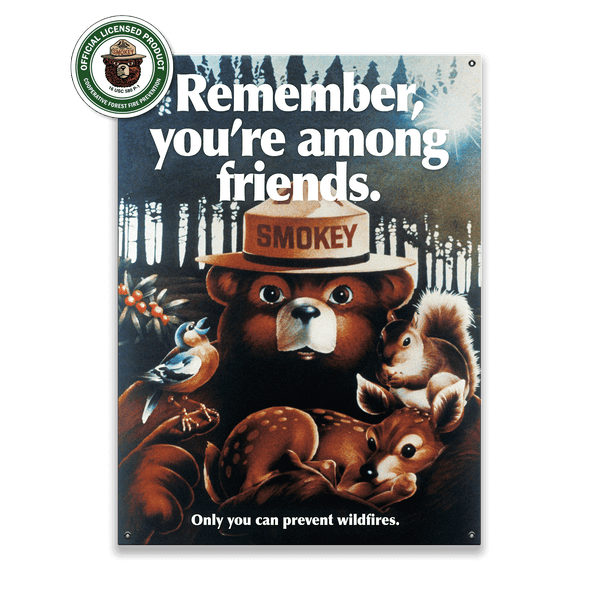Smokey Bear 1980 Remember You're Among Friends - Wood & Metal Wall Art