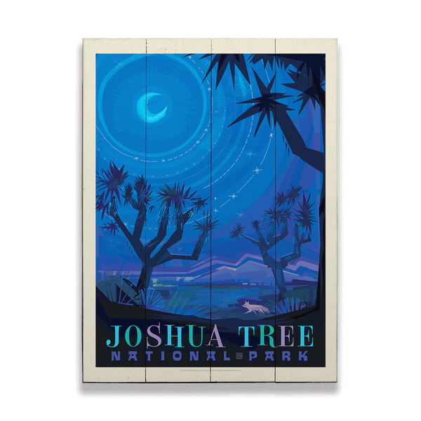 Joshua Tree National Park: Night Sky - Wood & Metal Wall Art