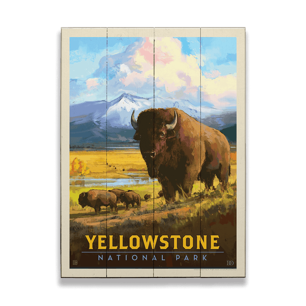 Bison Encounter at Yellowstone National Park - Wood & Metal Wall Art