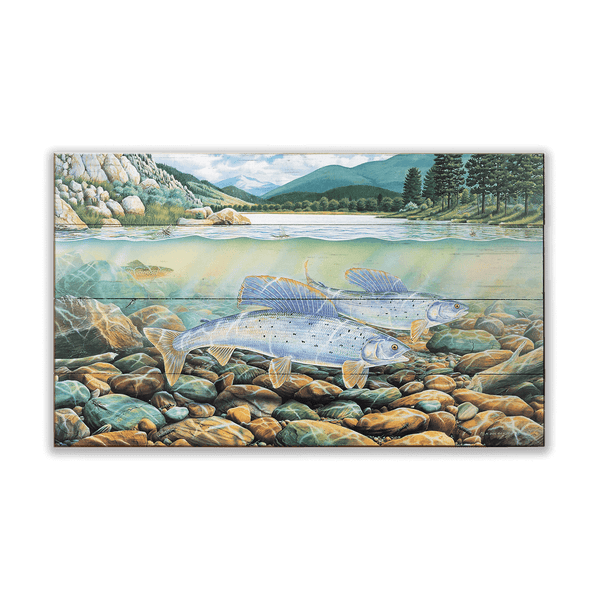 Montana Grayling - Wood & Metal Wall Art