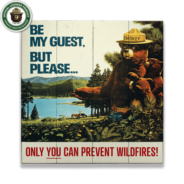 Smokey Bear 1967 Be My Guest: Generic - Wood & Metal Wall Art
