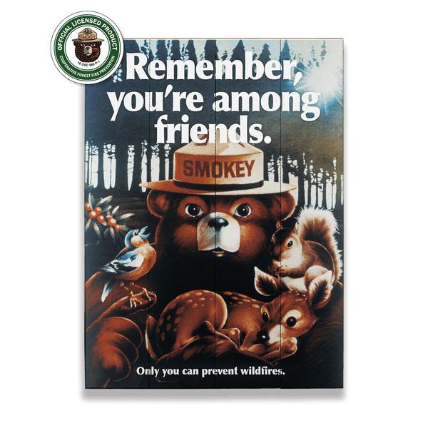 Smokey Bear 1980 Remember You're Among Friends - Wood & Metal Wall Art