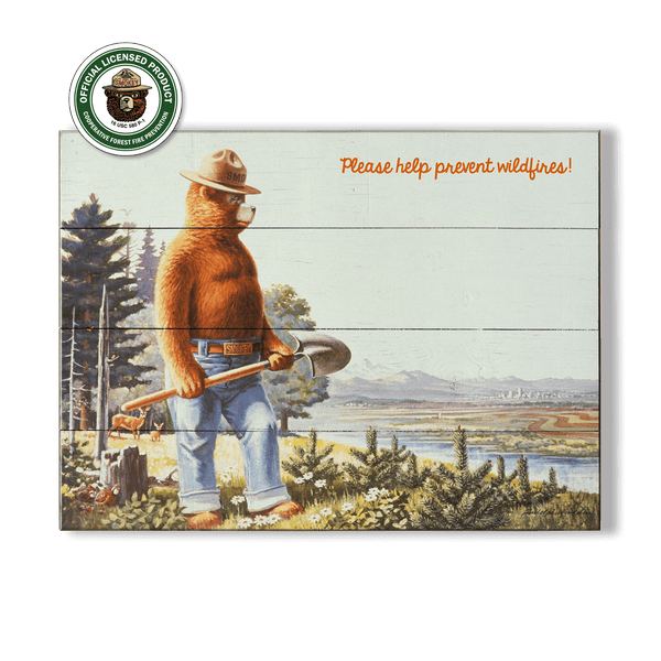 Smokey Bear 1984 On Guard: Generic - Wood & Metal Wall Art
