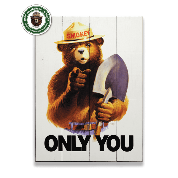 Smokey Bear 1985 Only You - Wood & Metal Wall Art