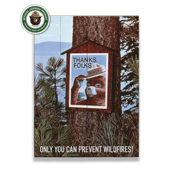 Smokey Bear 1967 Thanks Folks - Wood & Metal Wall Art