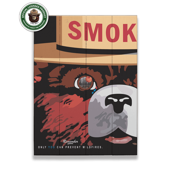 Smokey Bear 2007 Smokey Poster: Generic - Wood & Metal Wall Art