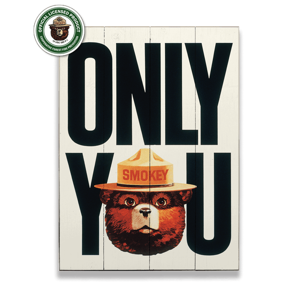 Smokey Bear 1981 Only You: Generic - Wood & Metal Wall Art