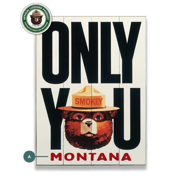 Smokey Bear 1981 Only You: Personalized - Wood & Metal Wall Art