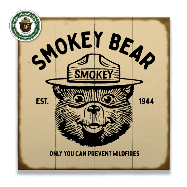 Smokey Bear Logo - Wood & Metal Wall Art