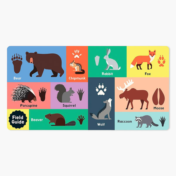 Forest Tracks: What Animal Am I? Book