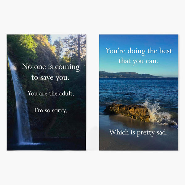 Disappointing Affirmations Book